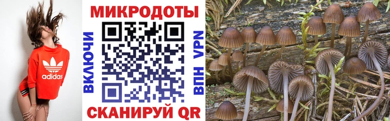 Галлюциногенные грибы GOLDEN TEACHER  Домодедово 