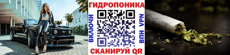 Марихуана гибрид Домодедово